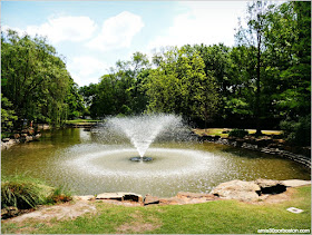 The Rose Garden: The Reflection Pool