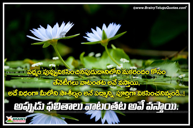 Best Telugu Success Messages by Swami Vivekananda, swami Vivekananda all time best sayings