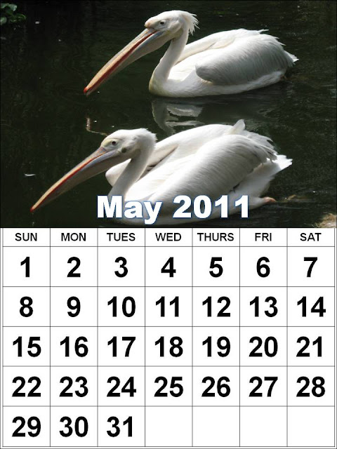 may 2011 calendar pdf. may 2011 calendar printable