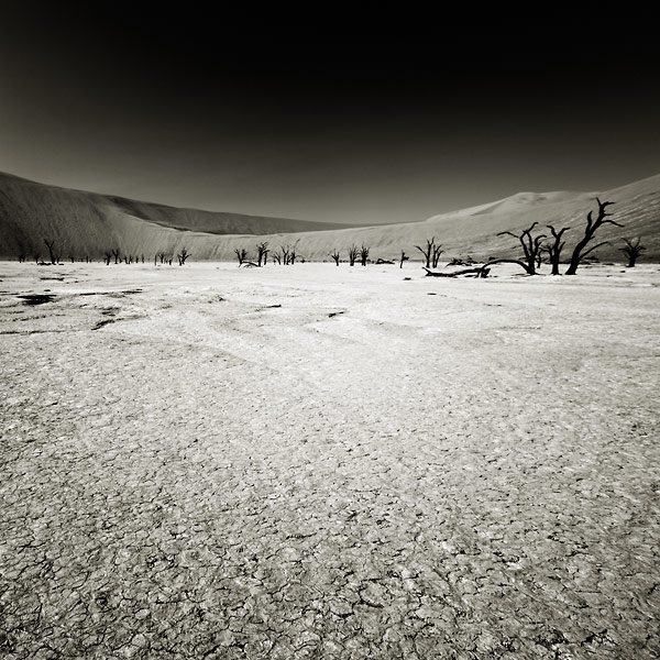 Dead Vlei (Namíbia)