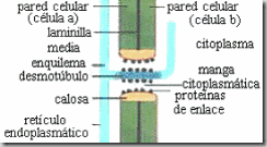 clip_image034