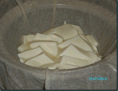 queso fresco18 copia