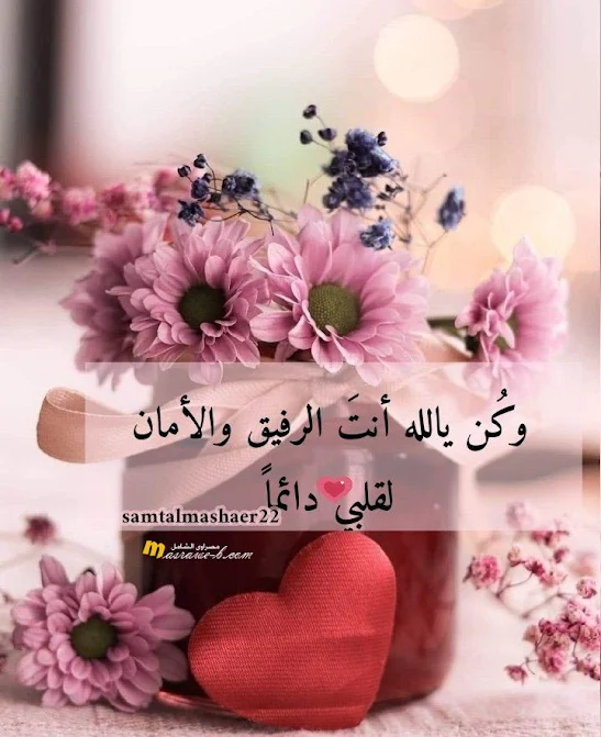 خلفيات واتساب دينية علي ورود (5)