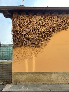 Ivy removed from a farmhouse wall in Via Sudorno.