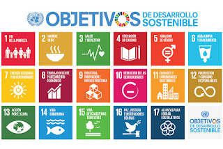 https://www.un.org/sustainabledevelopment/es/objetivos-de-desarrollo-sostenible/