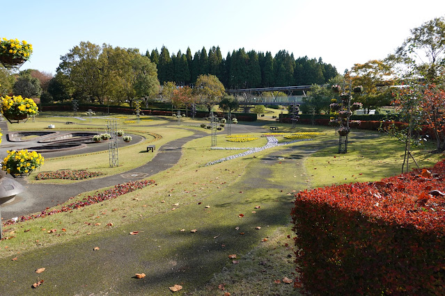鳥取県西伯郡南部町鶴田　とっとり花回廊　秋の霧の庭園