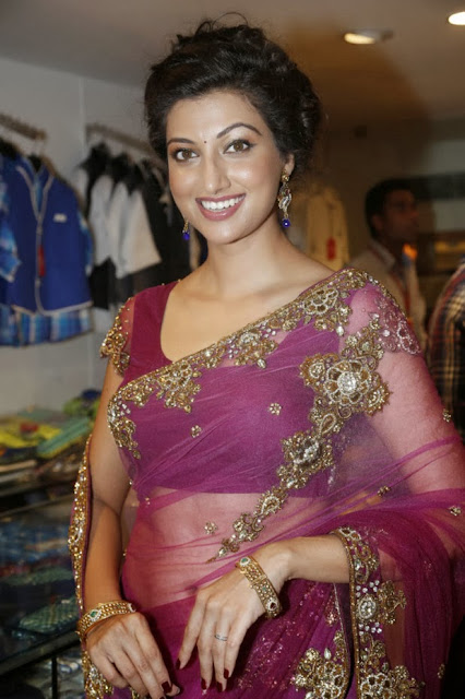 Actresss Hamsanandini in Transparent Saree Photos