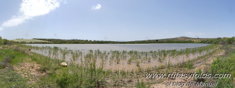 Laguna de Fuente de Piedra y Lagunas de Campillos