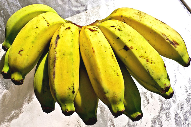 Bananas & More: A noteworthy banana: Apple banana