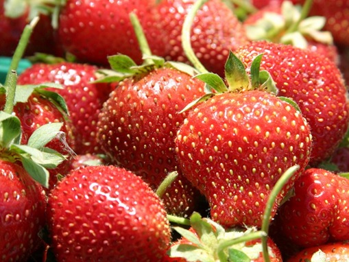 fruit-vegetables-hight-in-vitamin-c_www.wonders-world.com_05