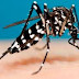 Atencão! Cuidado com Dengue