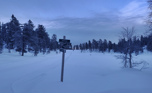 vikerfjell ringerudsetera søndre flåtjern