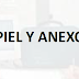 Medicina I - Piel, Anexos, Conciencia y Osteomuscular