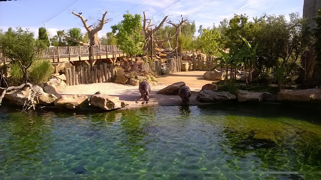 Zoo de beauval Loire Valley with children kids