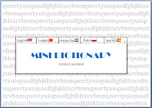 MINI DICTIONARY