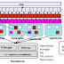 Fundamentos informáticos de Big Data #1