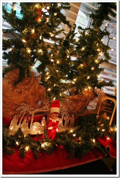 Christmastime begins 2011 081