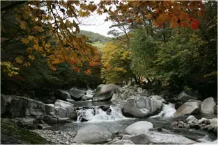 가야산 소리길
