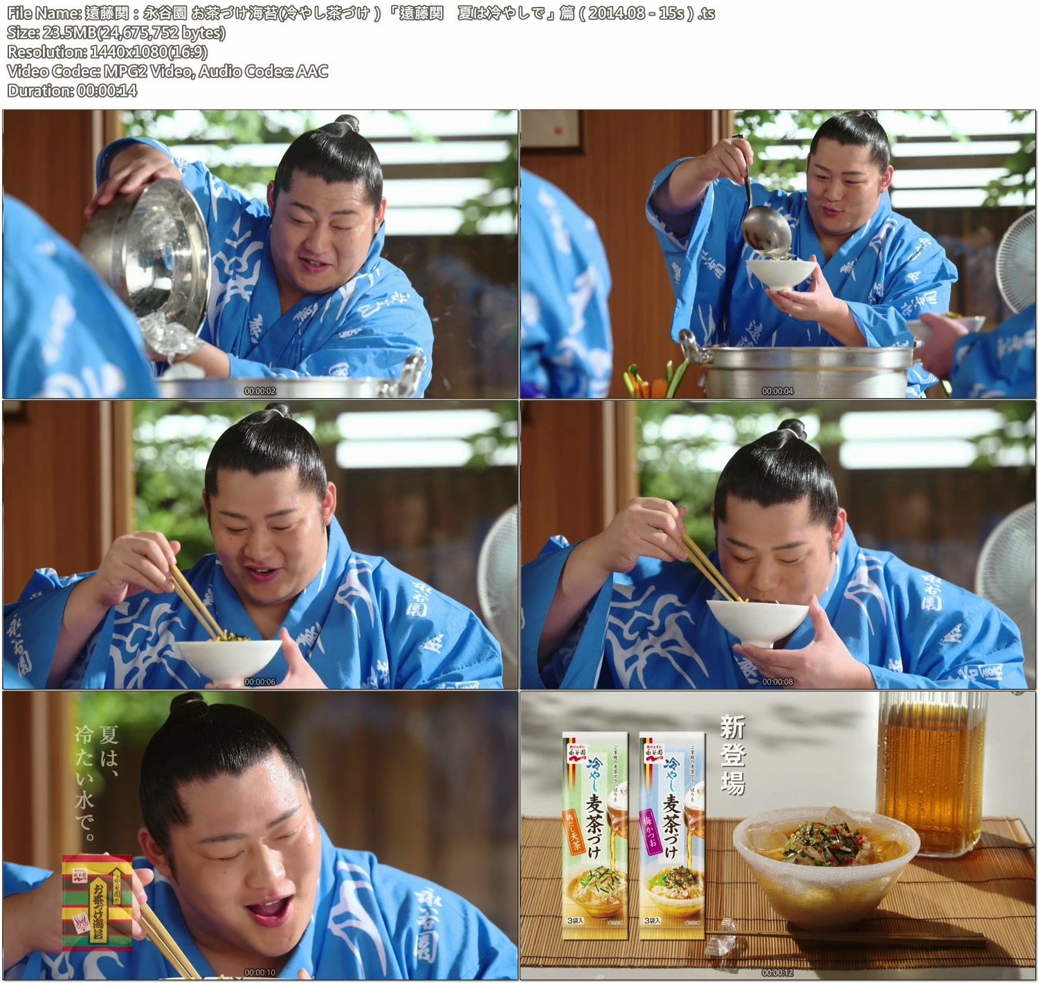Tvcm Cut 遠藤関 永谷園 お茶づけ海苔 冷やし茶づけ 遠藤関 夏は冷やしで 篇 14 08 15s