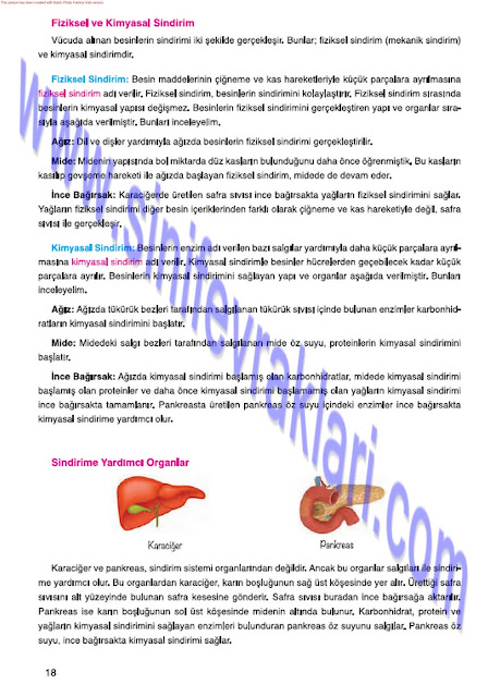 7. Sınıf Fen Bilimleri Mevsim Yayınları Ders Kitabı Cevapları Sayfa 18