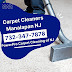 Carpet Cleaners Manalapan NJ