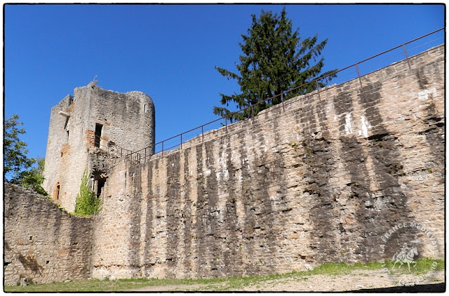 TREVOUX (01) - Château-fort