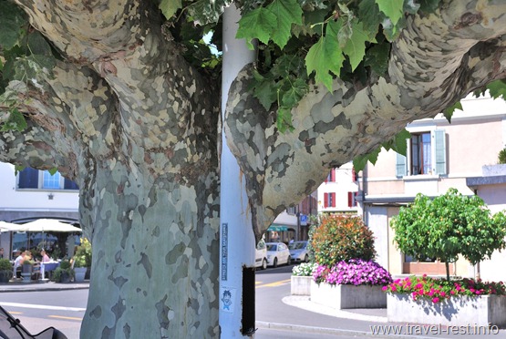 Nyon_08_28_13-07-35