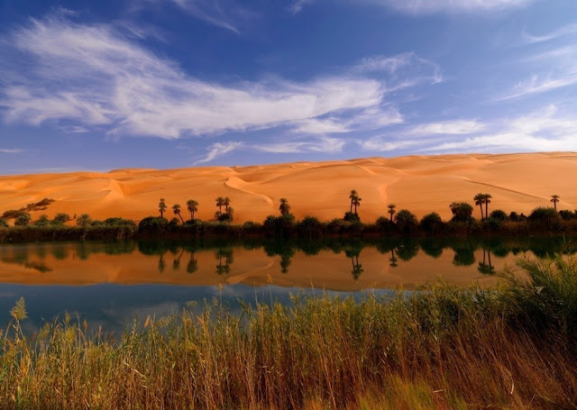 Fabulous Oasis in The Libyan Sahara