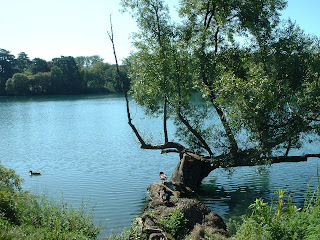 berges du lac