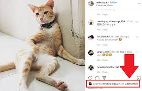  Instagram adalah aplikasi media sosial yang paling populer karena banyak sekali orang yan Cara Hack Verifikasi Instagram Terbaru