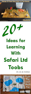 20+ Ideas for Learning with Safari Ltd Toobs from In Our Pond