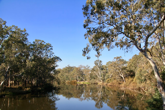 Mitchelton Wines, Nagambie