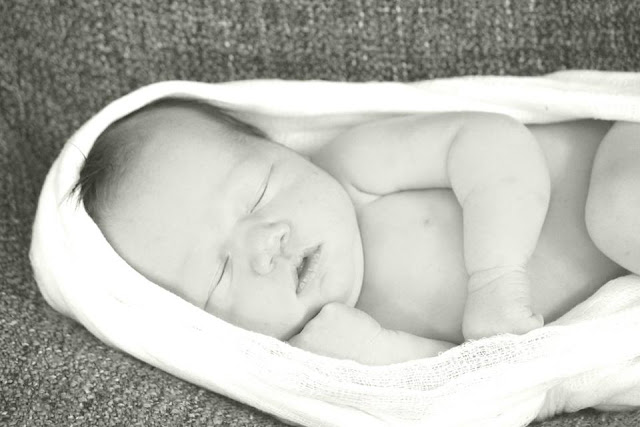 newborn photography