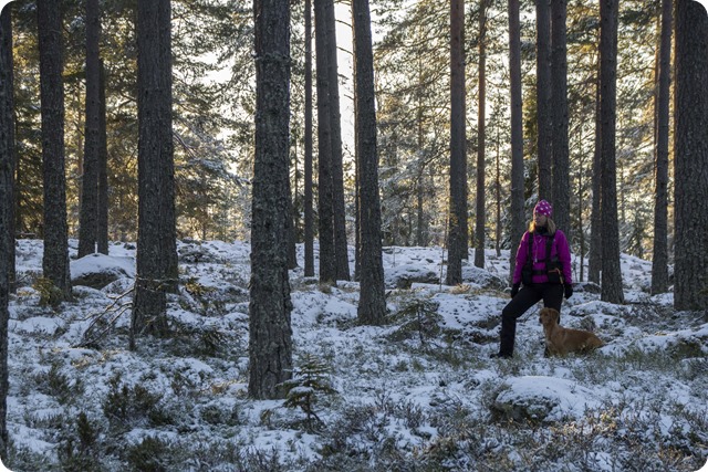 Tra╠êning vid skjutbanan 13