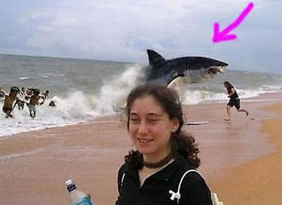 Animal Photobombers Seen On www.coolpicturegallery.us