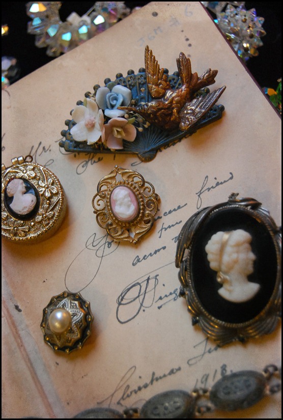 cameos and bird pin