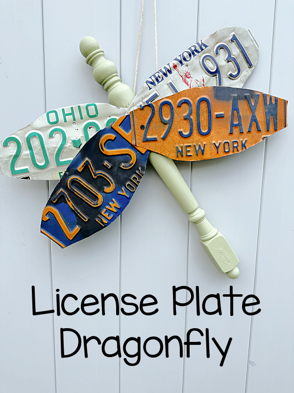license plate dragonfly with overlay