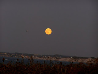 Luna llena horizonte