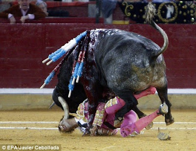 Matador kena tanduk lembu hingga buta sebelah mata