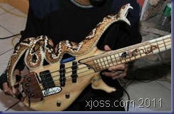awesome-guitars18