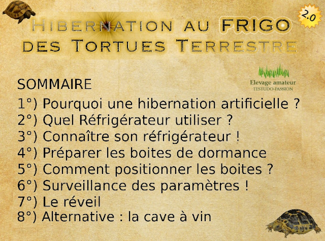 Hibernation au réfrigérateur