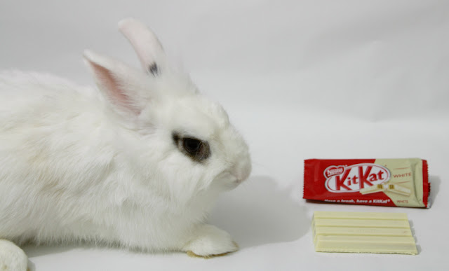 Kit Kat White