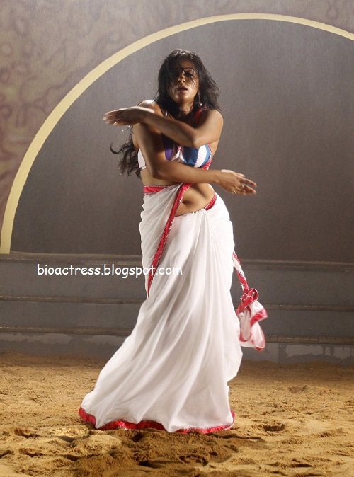 South indian hot actress priyamani spicy stills in saree showing deep navel and cleavage