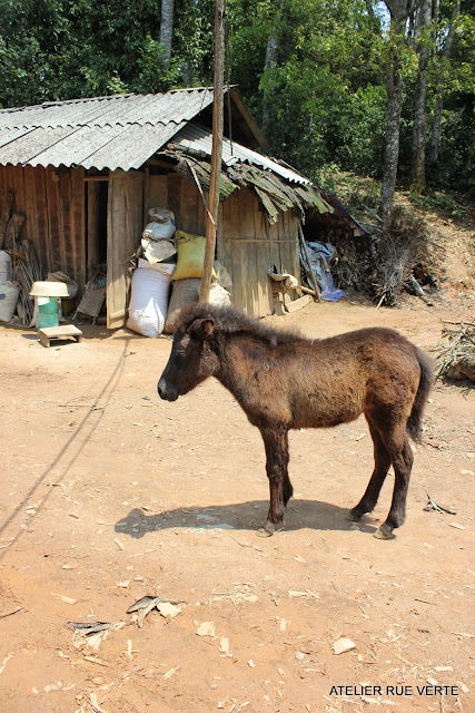 Vietnam visages 16