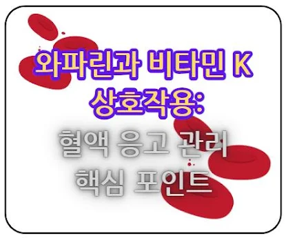 와파린과 비타민 K의 상호작용, 혈액 응고 관리의 핵심 포인트 자세히 알아보기