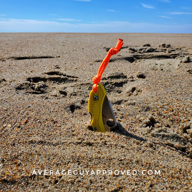 Spyderco Dragonfly 2 Salt Beach Day