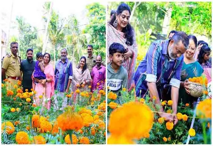 News, Kerala, Kerala-News, Agriculture, Agriculture-News, Alappuzha, Minister, P Prasad, Cultivated, Flower, Alappuzha: Minister P Prasad cultivated Flower.