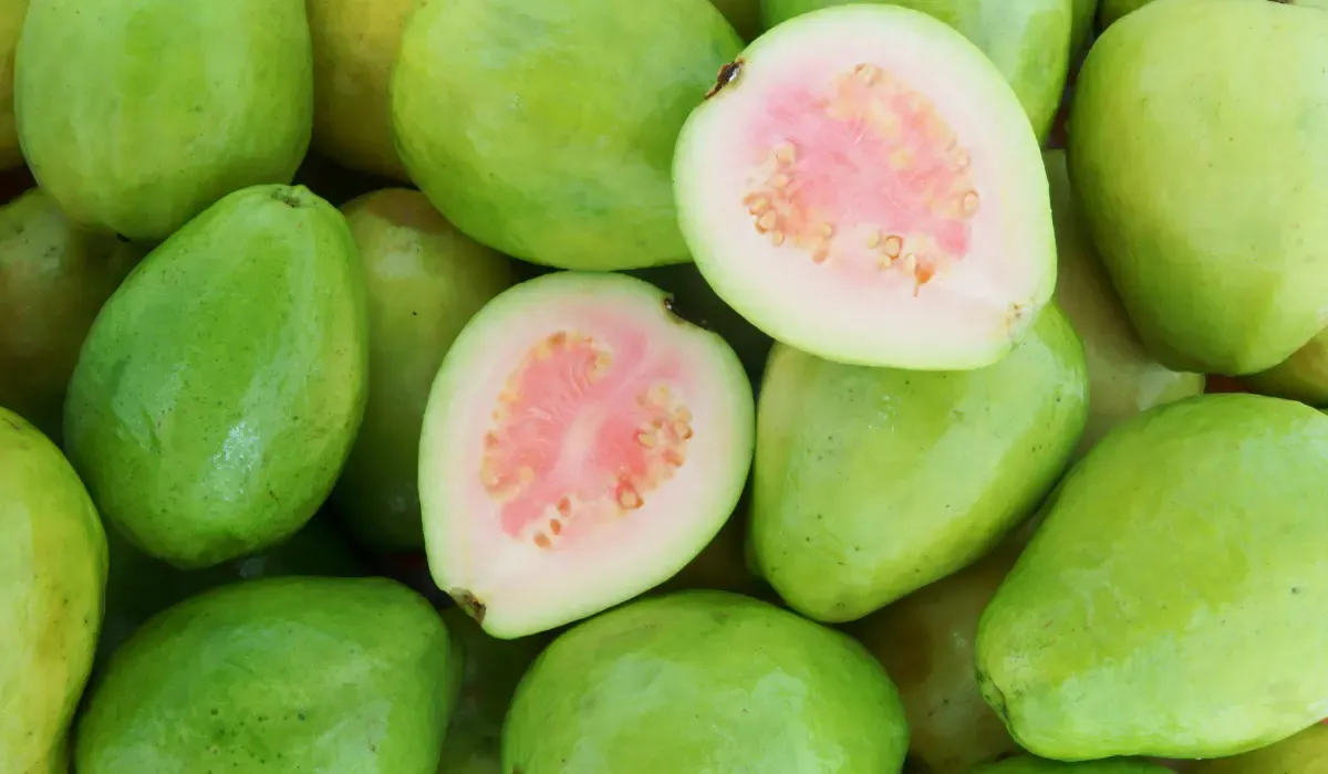 Guava
