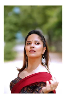 Telugu Actress Anasuya Bharadwaj Beautiful in Saree Pics