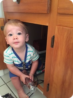 Henry in the bathroom cupboard